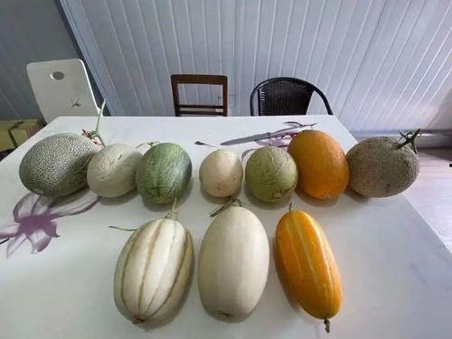 杭州职高吃瓜,校园生活里的热点瞬间